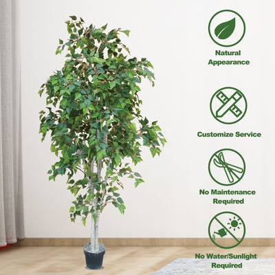 Besting Selling No Nursing Artificial White Birch Bonsai Evergreen With Real Bark For Balcony