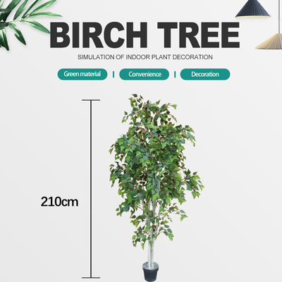 Besting Selling No Nursing Artificial White Birch Bonsai Evergreen With Real Bark For Balcony