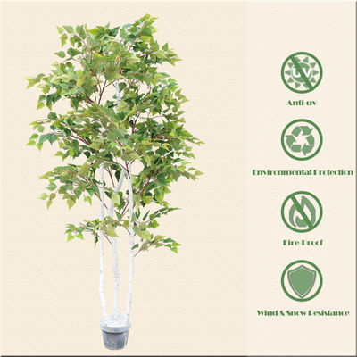 SGS Real Touch Fiddle Leaf Fig Artificial Potted White Birch Tree With Leaves 1.8m 6ft Tall
