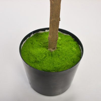 Anti UV Artificial Olive Tree Fresh And Welcoming Mimic Exact Colors Textures Of Real Plants