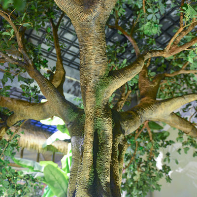 Living Room Artificial Banyan Tree No Sunlight S Shape Trunk Wide Leaf Cover Plant