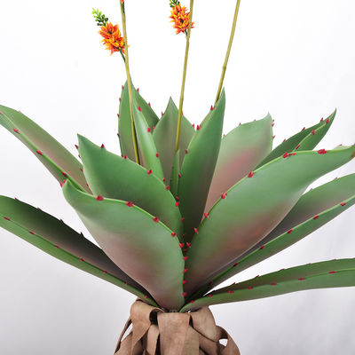 8'' High Artificial Aloe Plants For Dorm Book Shelf Decoration