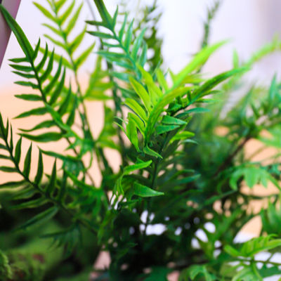 Anti Fading Artificial Landscape Plants 2-5 Square Meter With Plants And Bush