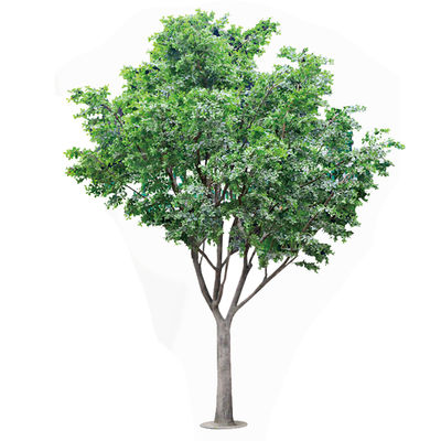 Artificial Banyan Tree For Decoration, Customized UV-Resistant And Flame-Retardant 5M Height