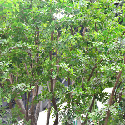 Artificial Banyan Tree For Decoration, Customized UV-Resistant And Flame-Retardant 5M Height