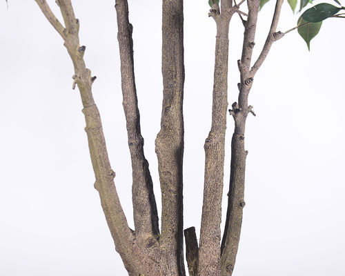 Ultra-Realistic Multi-Trunk Faux Ficus Tree 2.5m Artificial Banyan Tree For Decoration Of Hotel Home Living Room