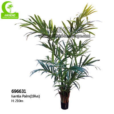 H210cm Artificial Tropical Tree , Artificial Kentia Palm Tree For Indoor Decoration