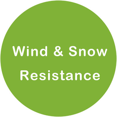 Wind And Snow Resistance Certification Artificial Ficus Tree