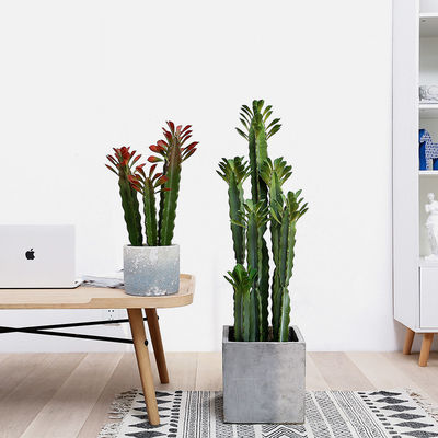 Custom Cactus Ornaments Bonsai Artificial Succulent Plant