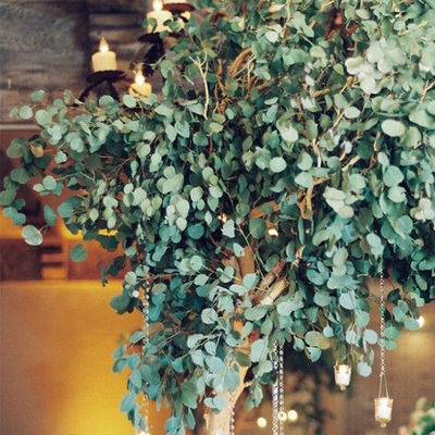 Artificial Plants Green Eucalyptus Tree For Mall Hotel Decoration