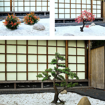 Potted Pine Tree for Home Decoration