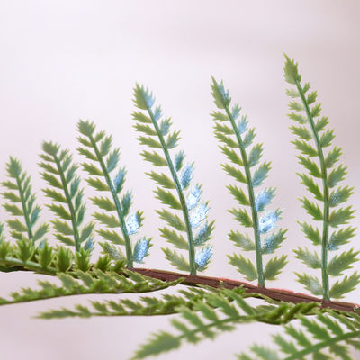 Anti UV Plastic Artificial Landscape Trees With Traveller'S And Areca Palm