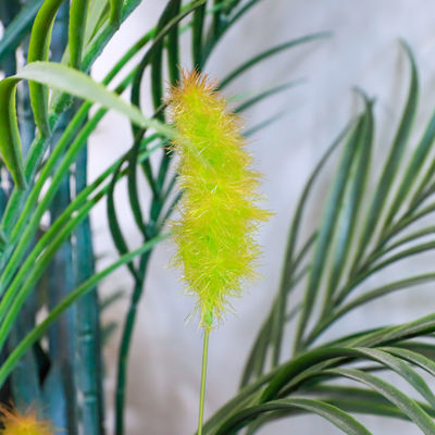 Anti UV Plastic Artificial Landscape Trees With Traveller'S And Areca Palm