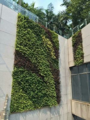 PE Leaf Anti Aging Vertical Greening Decorative For Landscaping