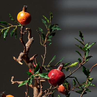 Simulated Space Decor Artificial Pomegranate Tree Landing Bonsai Ornamental Greenery