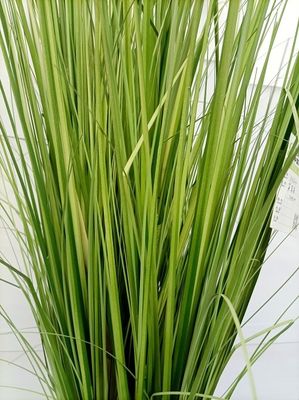 High Imitation Handmade Potted Artificial Onion Grass 145cm Height