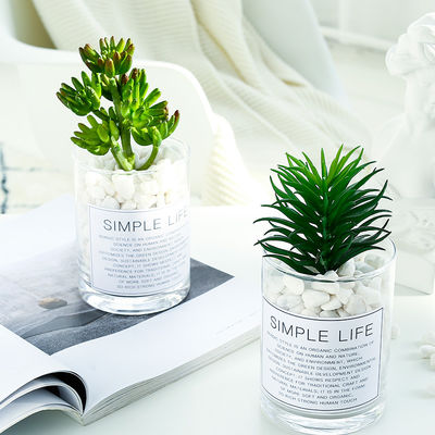 Nordic Ins Green Artificial Succulent Plant Plastic Fleshy Small Potted Decorate